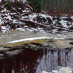 Выявлен ущерб на 12 миллионов при сбросе сточных вод строителями М-11 в Новгородской области 