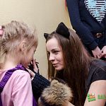 Всемирный день кошек новгородцы отпраздновали в «Диалоге»  