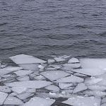 Продолжаются поиски девочки, унесённой на льдине в Новгородской области 