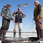 На митинге в Великом Новгороде рыболовы-любители потребуют запрета на лов рыбы в нерест 