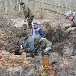 В Новгородской области нашли останки трёх ленинградских ополченцев 