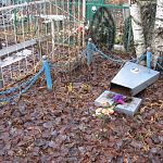 На кладбище в Новгородской области повреждены 32 надгробия
