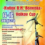 В Великом Новгороде состоятся соревнования на Кубок космонавта Владислава Волкова 