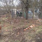 50-летний новгородец украл два надгробия с Западного кладбища