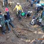 В Батецком районе поисковики извлекли из земли останки 12 ополченцев 