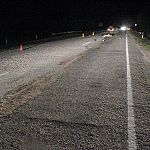На участке ремонта дороги в Новгородской области погиб пешеход