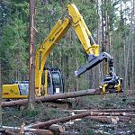 В комитет лесного хозяйства вызвали арендаторов-должников 