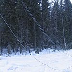 Сильный ветер и мокрый снег оставили без света 151 населённый пункт в Новгородской области