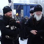 Новгородский митрополит приютил бездомного щенка 