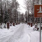 В Новгородской области не сообщили в полицию о фактах вандализма на Аллее героев