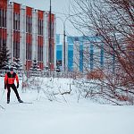 Проверено «ВН»: «Лыжня на Колмовской набережной»