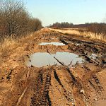 Новгородским фермерам рассказали о мерах поддержки и посоветовали готовить проектно-сметную документацию на строительство дорог