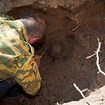 В Новгородской области поисковики обнаружили партизанскую могилу 