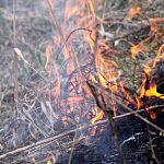 Пожарные больше двух часов тушили загоревшееся сено под Демянском