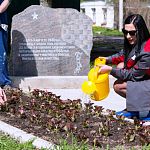 Возле памятного знака на месте гибели танкистов в Великом Новгороде посадили березы