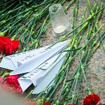 Родственники погибших в Синайской авиакатастрофе новгородцев подали в суд на страховую компанию и перевозчика