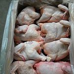 На производстве «Белгранкорма» в цыплятах-бройлерах обнаружили сальмонеллы