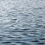 Пять человек утонули в выходные на водоёмах в Новгородской области 