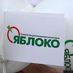 Новгородское «Яблоко» едва не оказалось вне избирательной кампании из-за бездействия руководителя