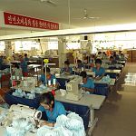 Рабочих из КНДР хотят привлечь на швейное производство в Новгородской области 