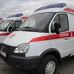 В Новгородскую область пришли новые школьные автобусы и автомобили скорой помощи