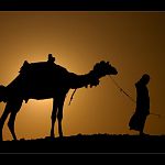 Продавец верблюжьих одеял сообщил новгородцам, когда в их дома придёт тепло 
