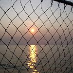 К лишению свободы приговорили шимских рыбаков, использовавших запрещённые сети 