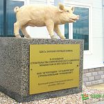 «Мираторг» может стать совладельцем свинокомплекса в Новгородской области 