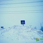 В Новгородской области объявлено штормовое предупреждение 