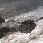 Трое детей провалились под лёд в Новгородской области
