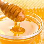 Россельхознадзор обнаружил в мёде из Батецкого района опасные метаболиты
