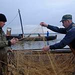 Новгородские рыбаки-любители – ихтиологам: «Науке важно сохранить промысел или рыбу?»