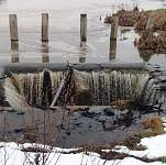 «Новгородский бекон» восстановил ручей возле Котовиц, по которому в Волхов стекали нечистоты