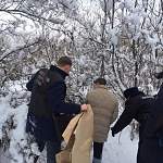 Обвиняемого в убийстве девушки в Великом Новгороде арестовали 