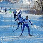 «Спартанцы» заняли семь первых мест на этапе Кубка области по лыжным гонкам