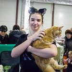 В «Мармеладе» проходит международная выставка кошек