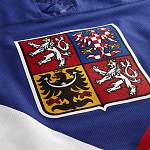 Чехи победили шведов в стартовой игре новгородского этапа юношеского Евротура