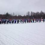 Воспитанники «Спарты» завоевали пять медалей на «Лыжне России» в Окуловке