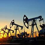 Врио губернатора: «Добывать нефть в Новгородской области по существующим технологиям невыгодно»
