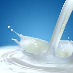 Каждый четвертый молочный продукт на российских прилавках – некачественный 