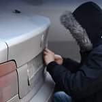 Жительницу Сольцов оштрафовали за кражи номеров с машин 