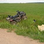 В Новгородской области погиб водитель квадроцикла 