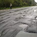Жители Ленинградской области хотят протестовать против плохой дороги в Новгородской 