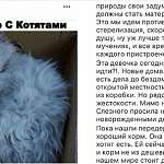 Новгородские интернет-мошенники попытались нажиться на бездомной кошке из Благовещенска