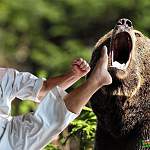 Японец одолел нападавшего медведя, используя приемы каратэ. Глупое животное не на того напало