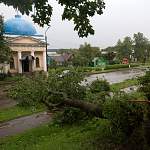 В результате шторма было повалено более 150 деревьев, пострадал один человек