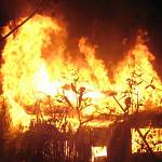 Следователи выясняют, могла ли быть криминальной смерть на пожаре в Чудовском районе