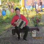Районный фестиваль «Играй, гармонь» в Боровичах