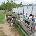 Заместитель Губернатора Александр Бойцов посетил клуб отдыха «Ильмень», который стал примером успешного развития экотуризма в регионе