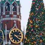 На Президентскую новогоднюю ёлку отправятся 18 школьников из Новгородской области